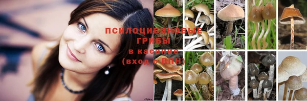 спиды Балахна