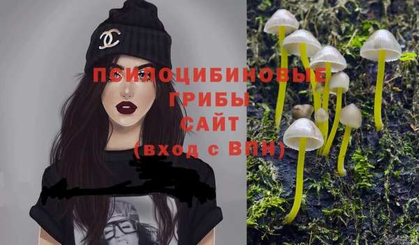 спиды Балахна